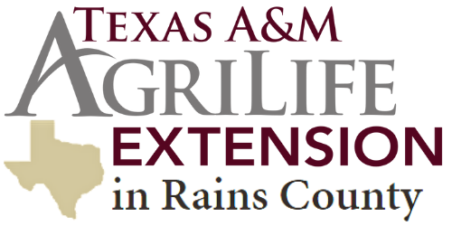 德克萨斯州的一个&M . Rains县农业生物推广