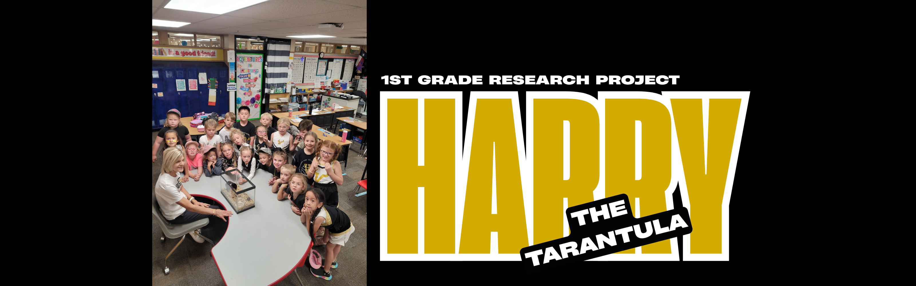 1st Grade Research