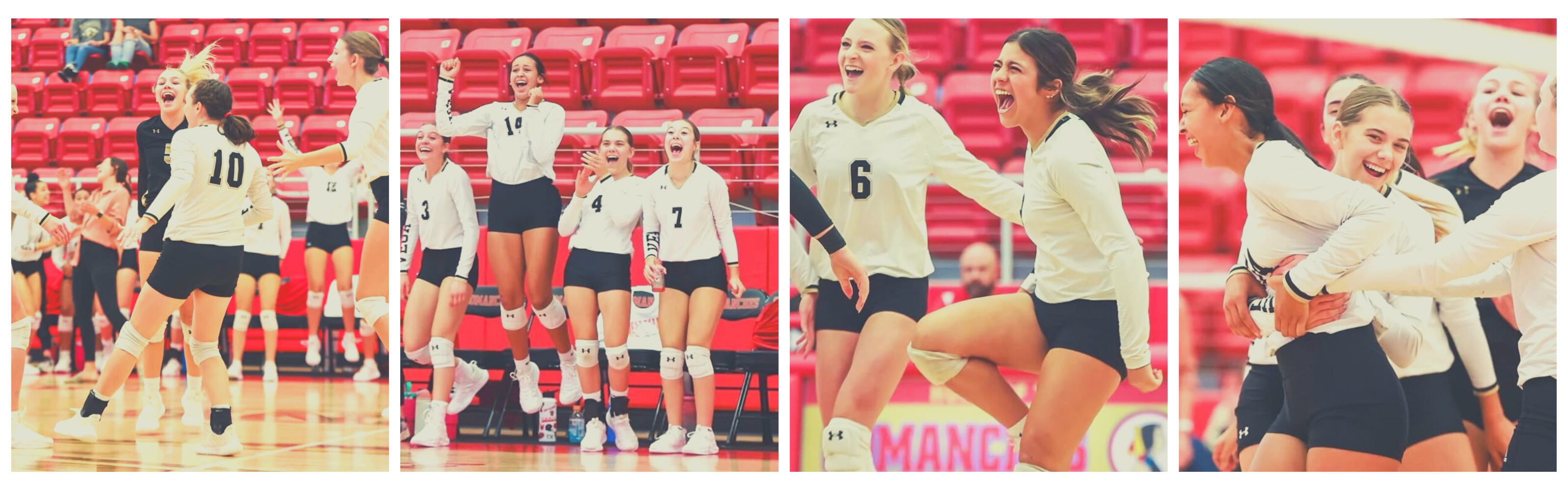 Volleyball