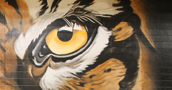 Tiger Mural