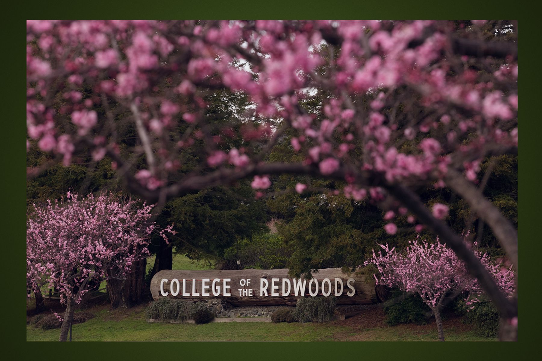 College of the Redwood Sign