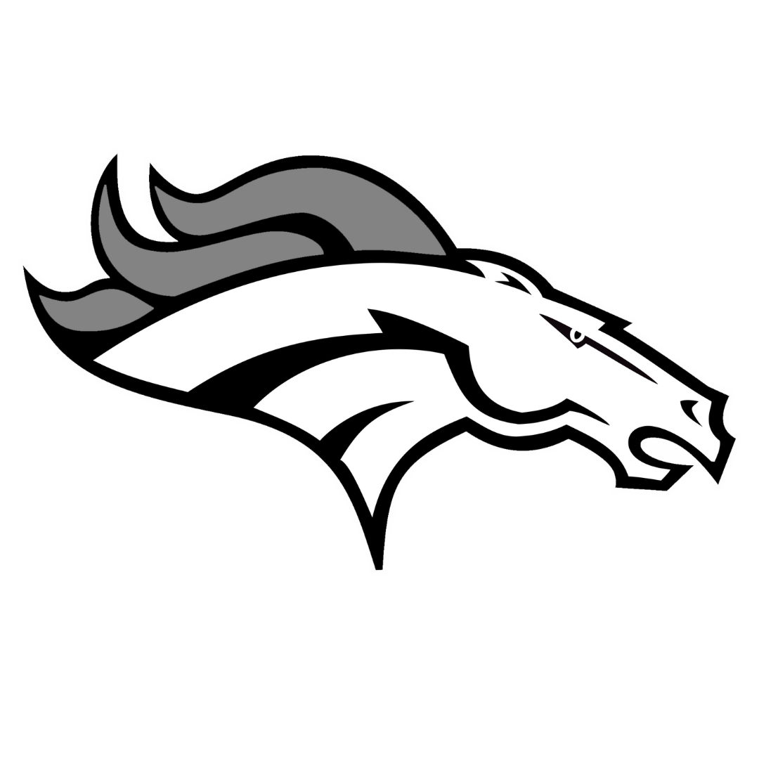 Gray and White Mustangs Logo