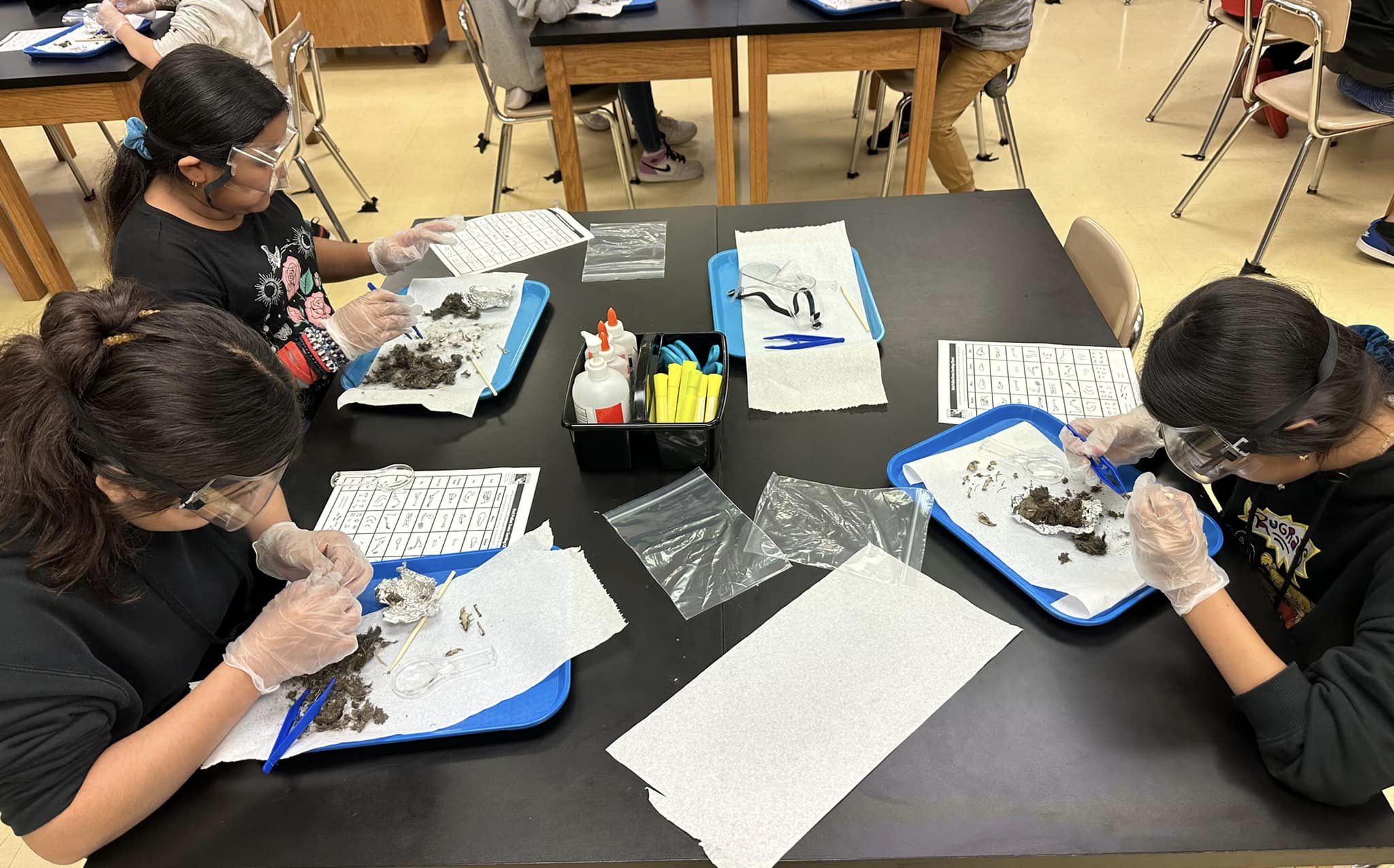 Science Dissection