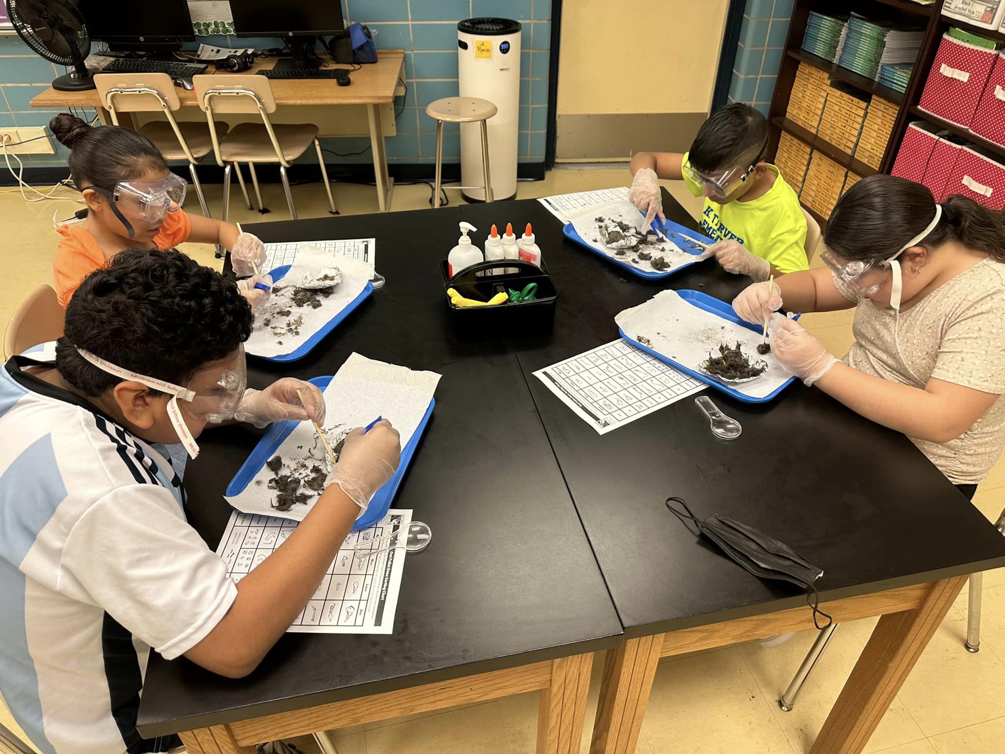 Science Dissection