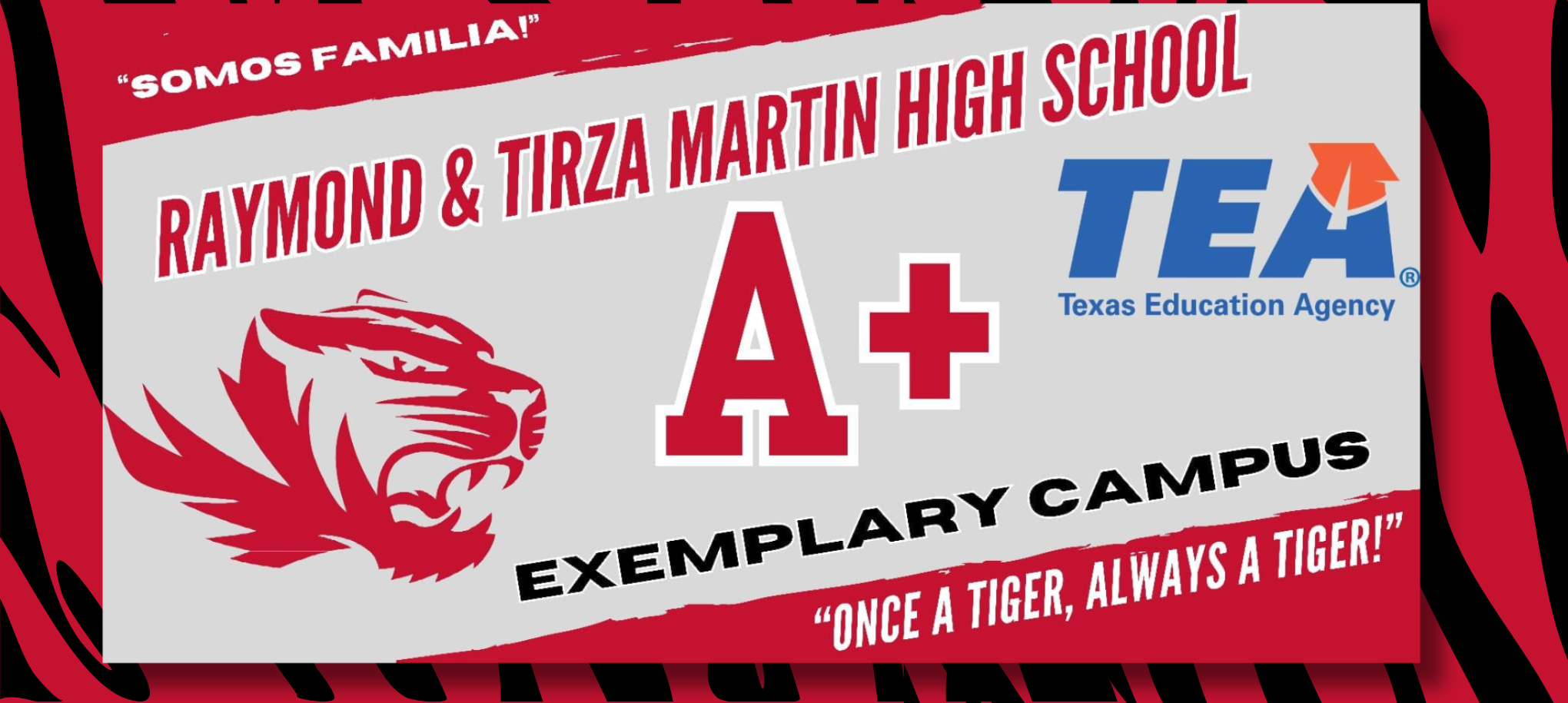 Raymond Tirza Martin High School