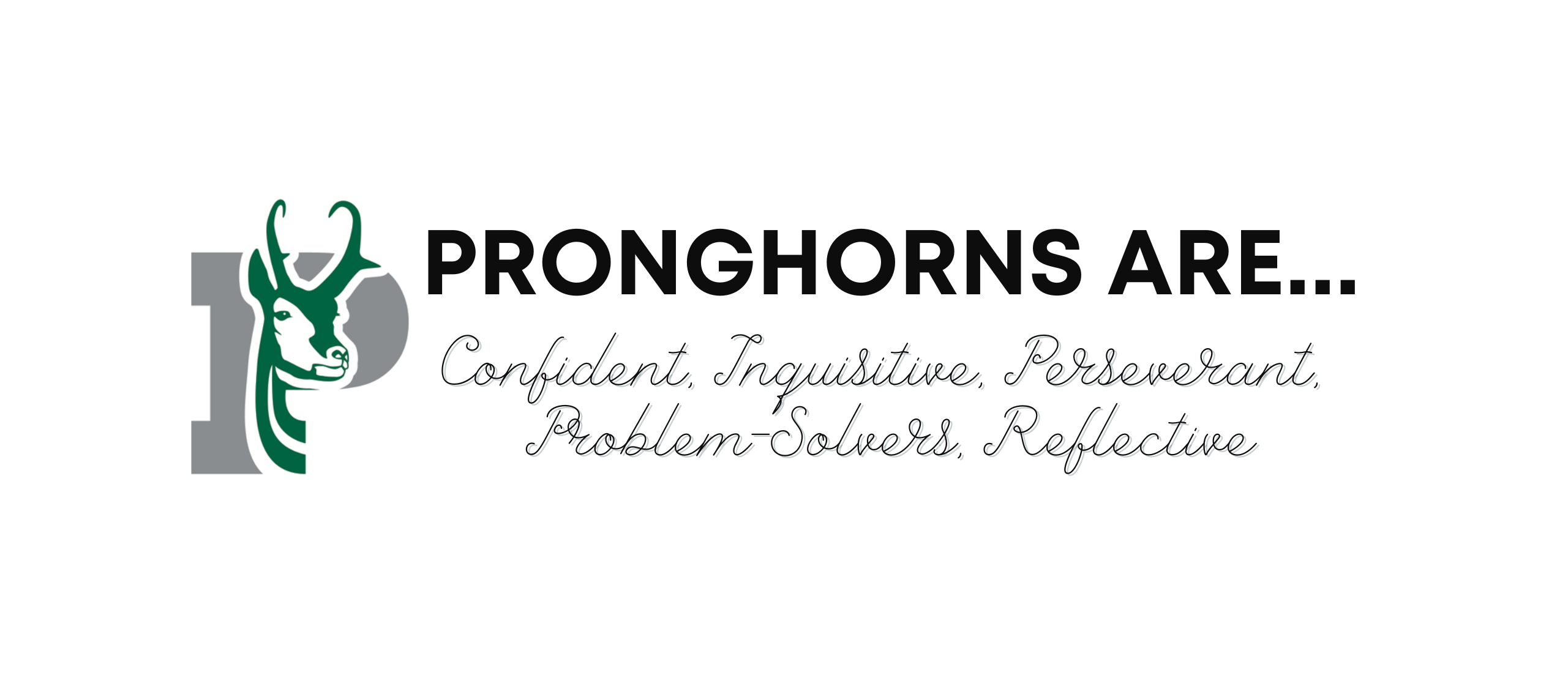 pronghorns are confident
