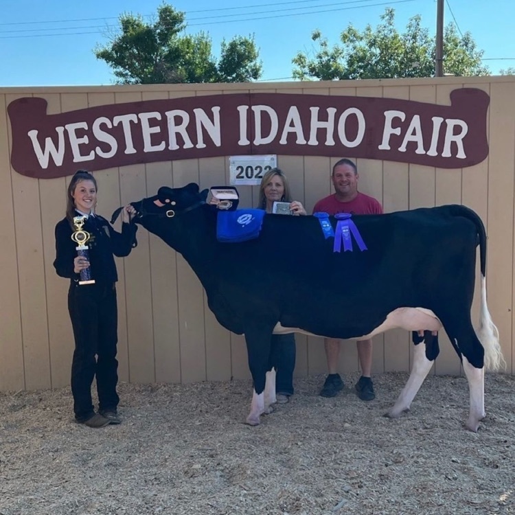 FFA Dairy Showman Grand Champion Hailey Bishop