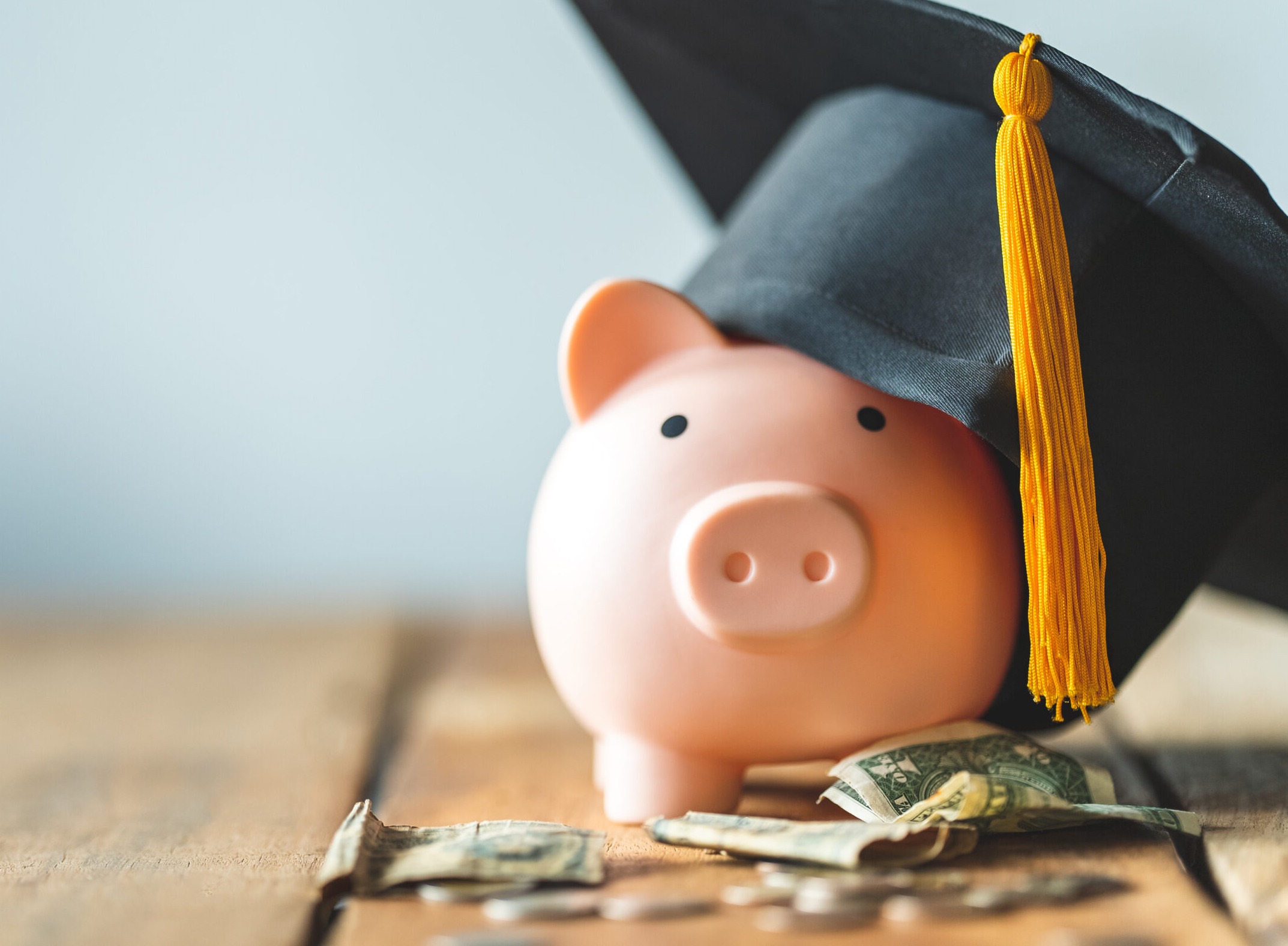 Little pig wearing a graduation cap and coins 