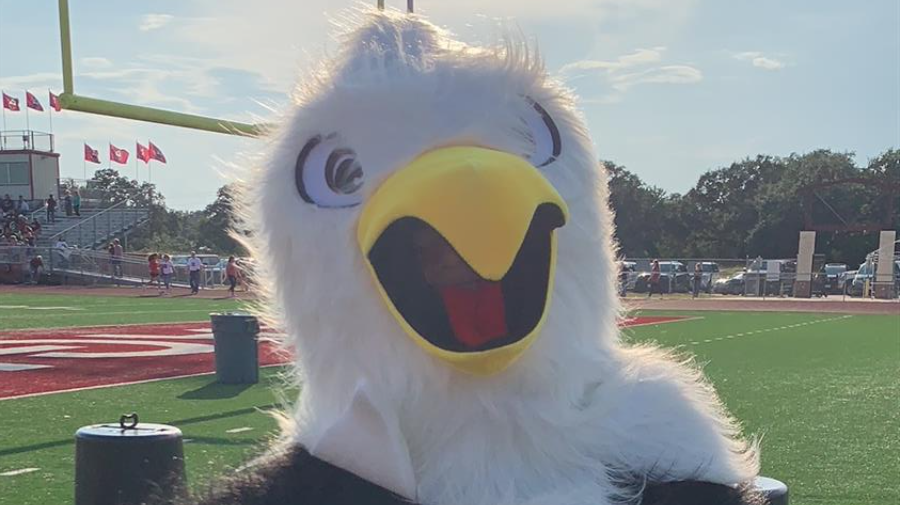 MAscot