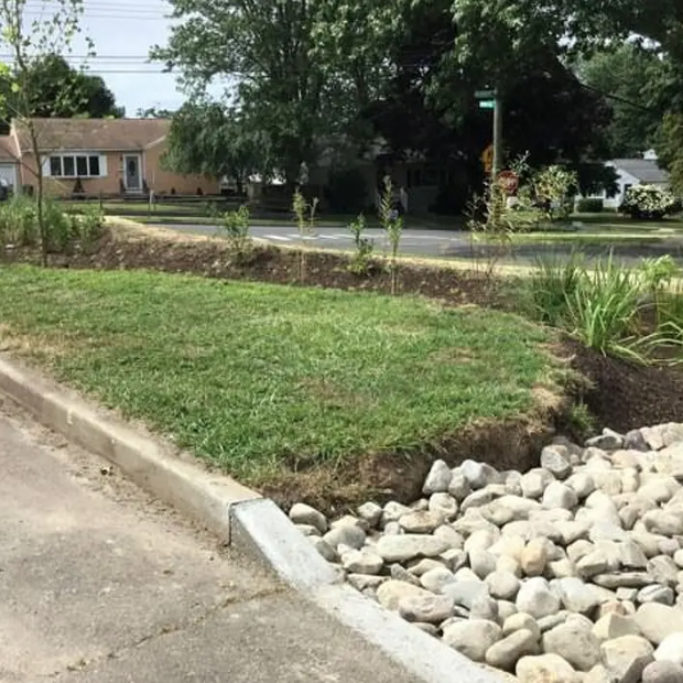Rain Garden