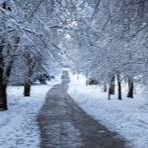 Cold Weather