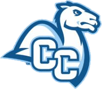 college logo