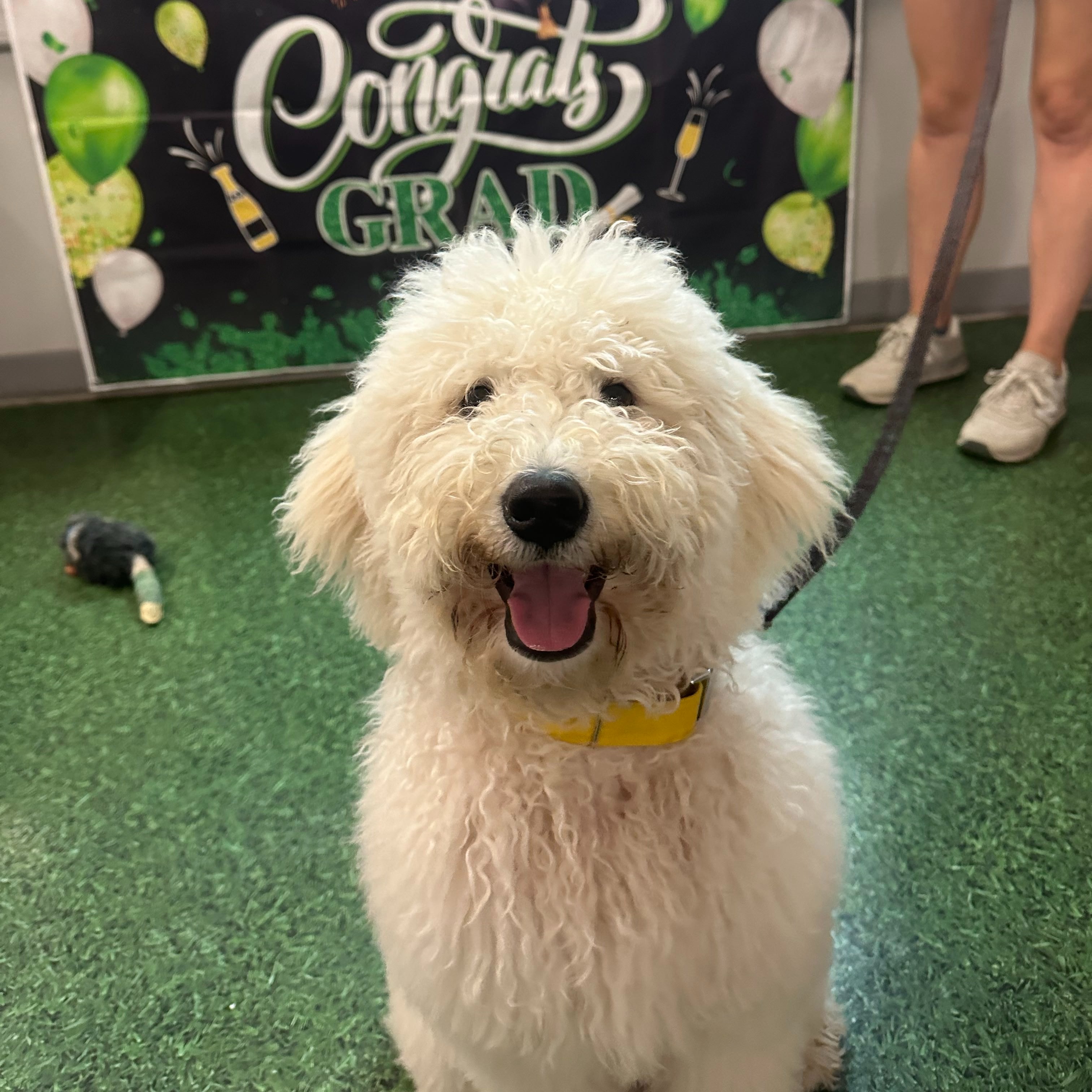 Rosie smiling