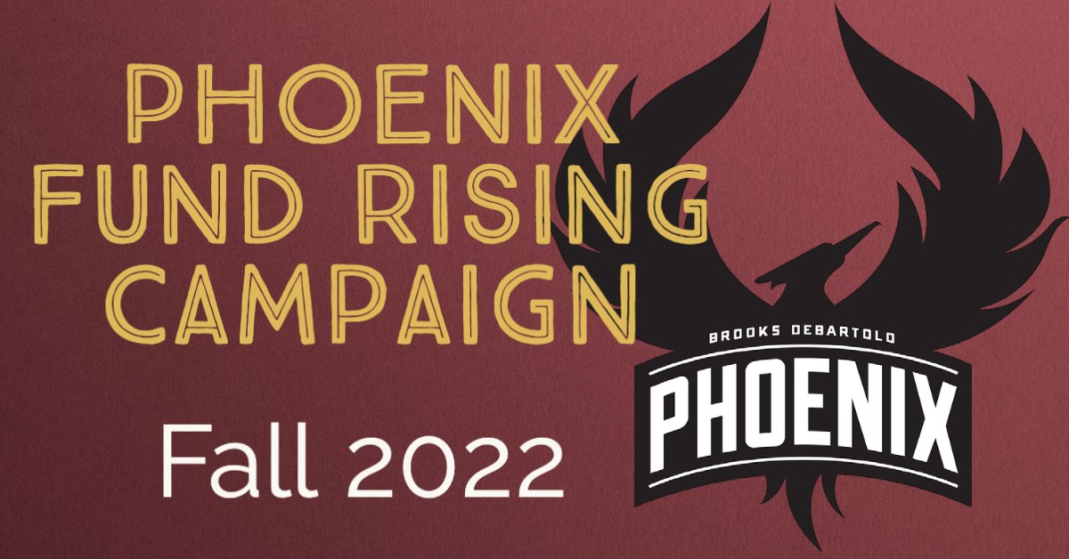 Phoenix Fund Banner