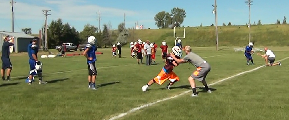 2015 Mott/Regent Wildfire Football