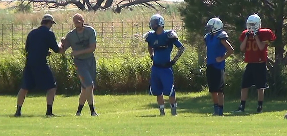 2015 Mott/Regent Wildfire Football