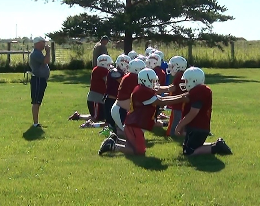 2015 Mott/Regent Wildfire Football
