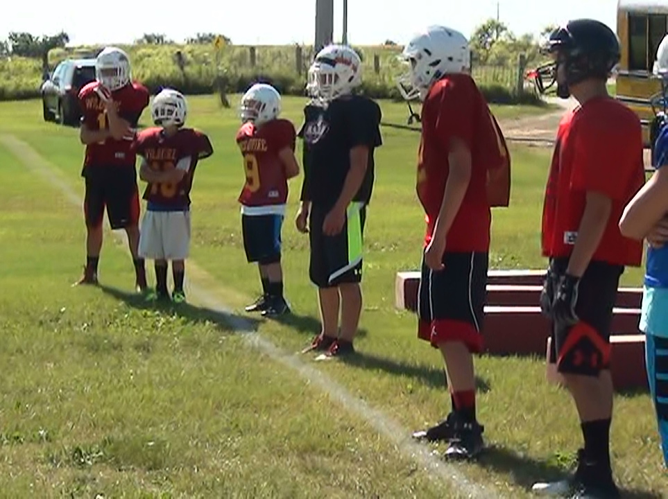 2015 Mott/Regent Wildfire Football