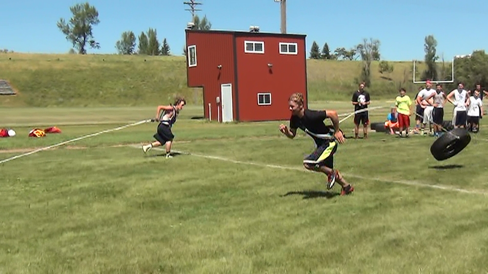 2015 Mott/Regent Wildfire Football
