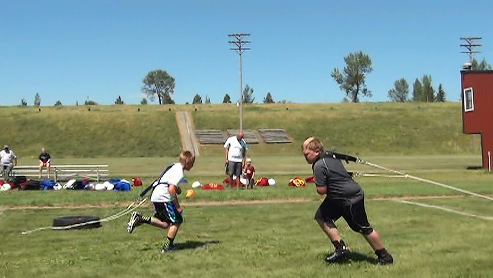 2015 Mott/Regent Wildfire Football