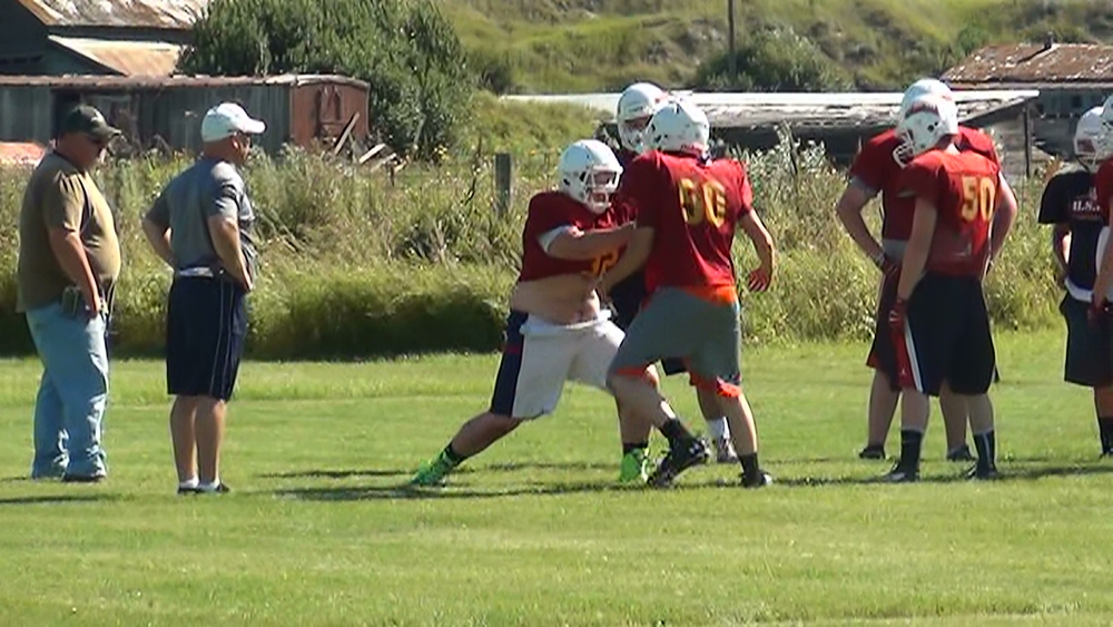 2015 Mott/Regent Wildfire Football
