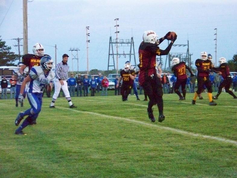 2007 Mott/Regent Wildfire Football