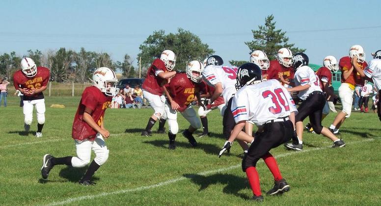 2006 Mott/Regent Wildfire Football