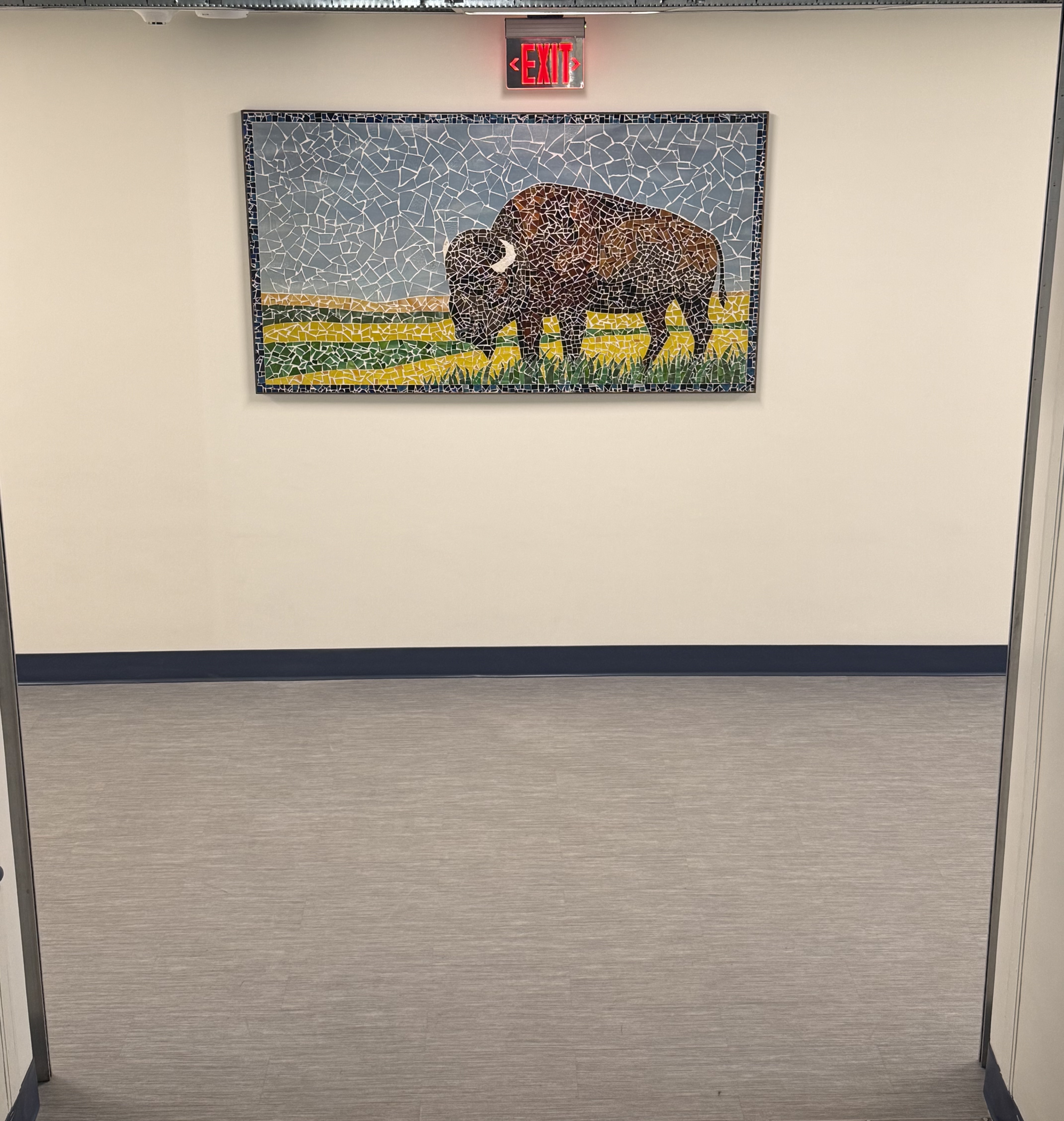 Art work bison