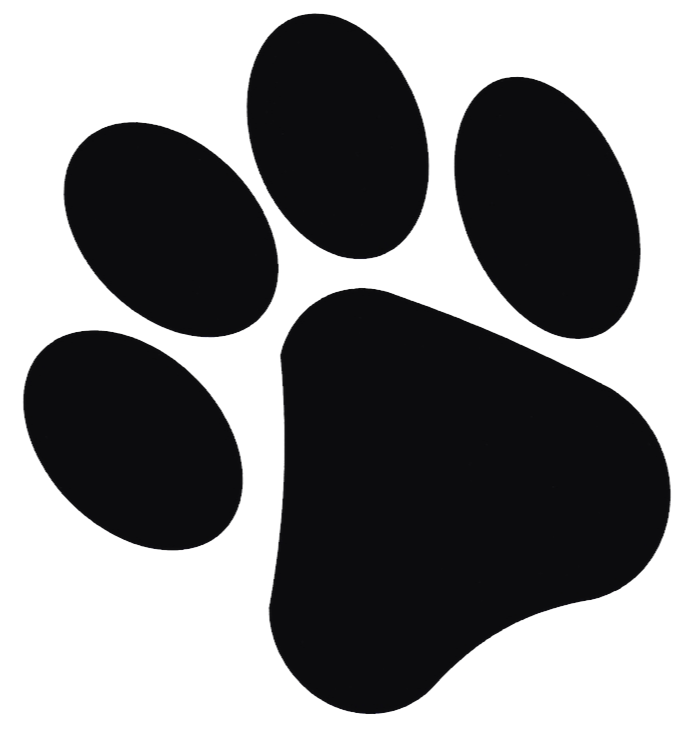 Paw Print Picture