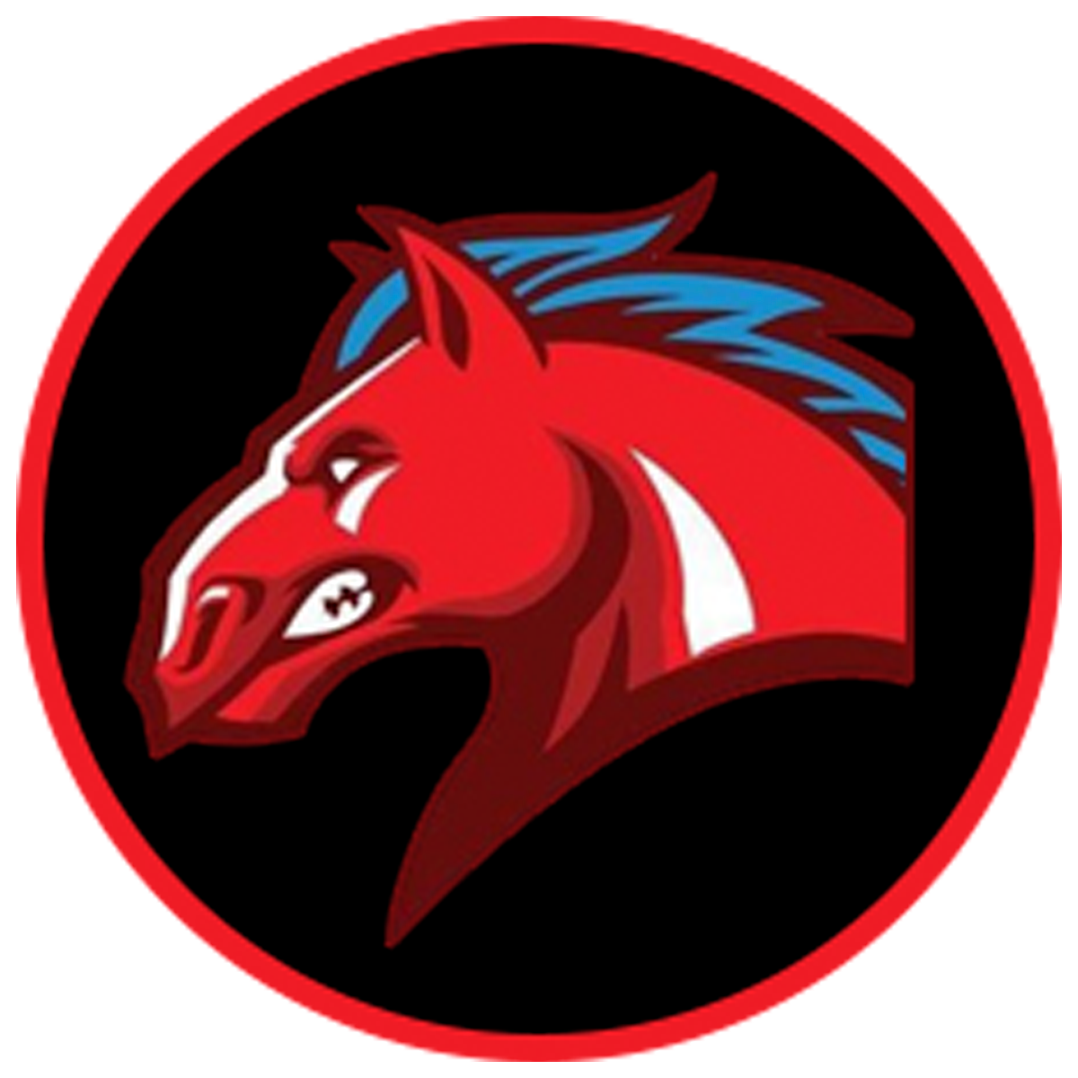 Brooks Elementary Home