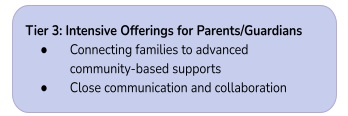 MTSS Tier 3 Offerings