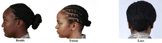 Examples of Hair Styles