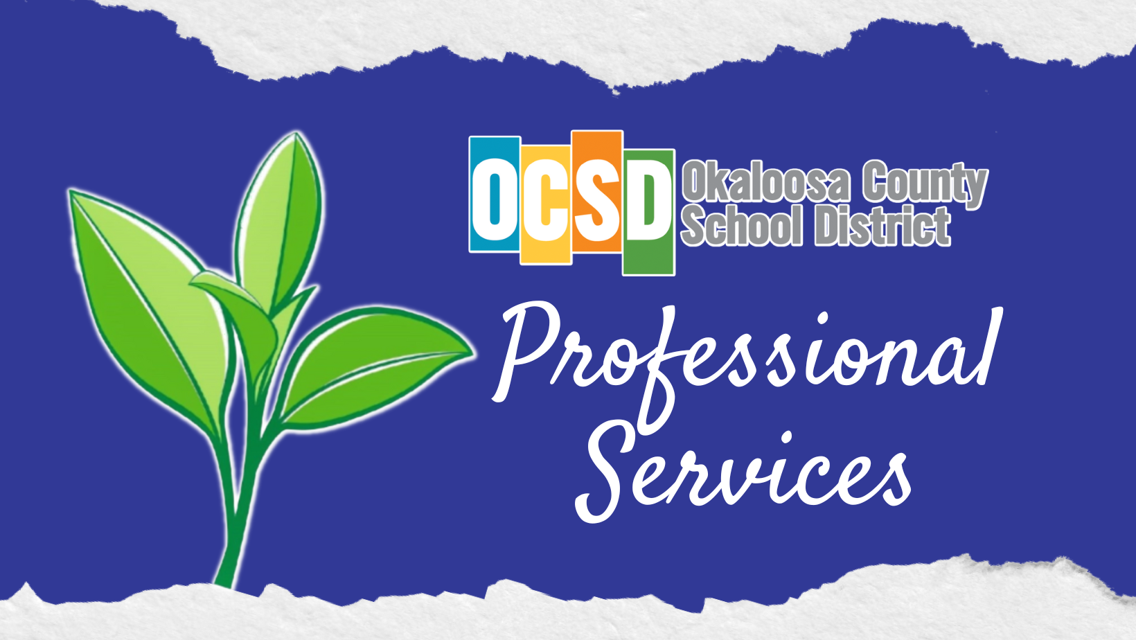 Professional Services Department