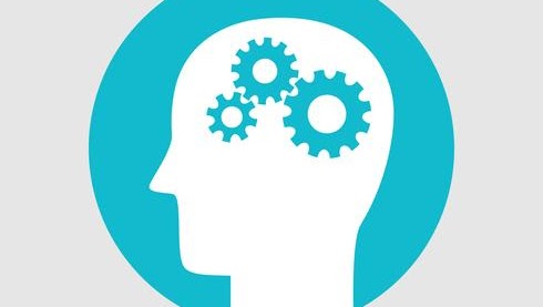 brain