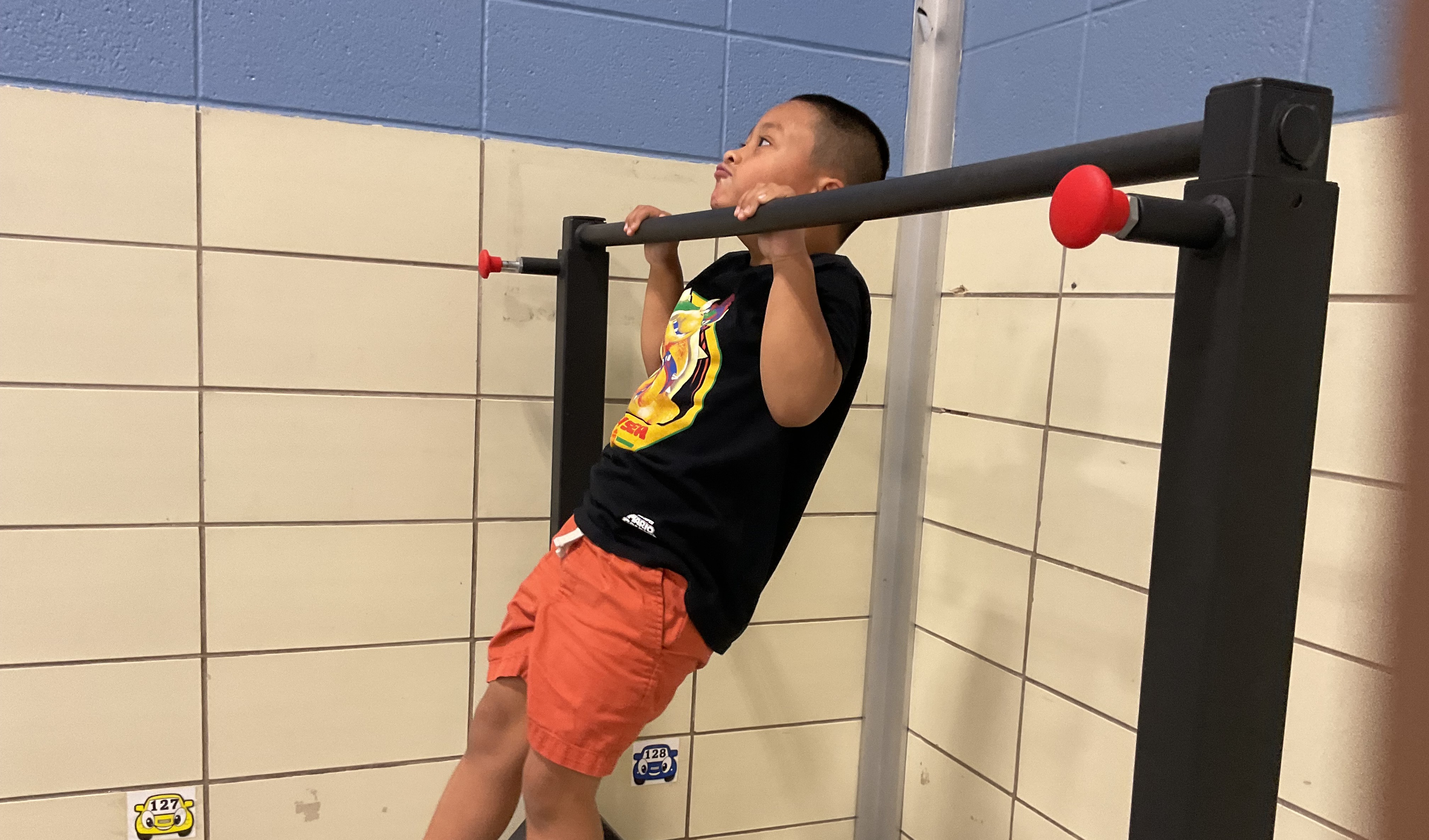 SOEL pull ups