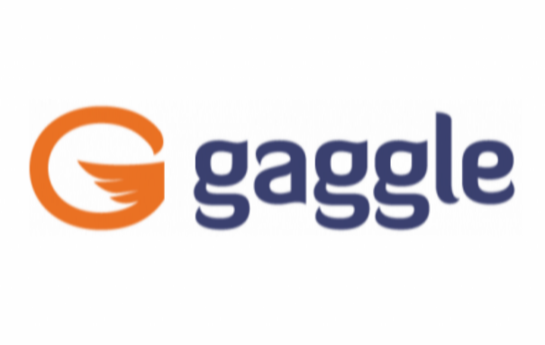 Gaggle