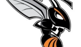 Hornet