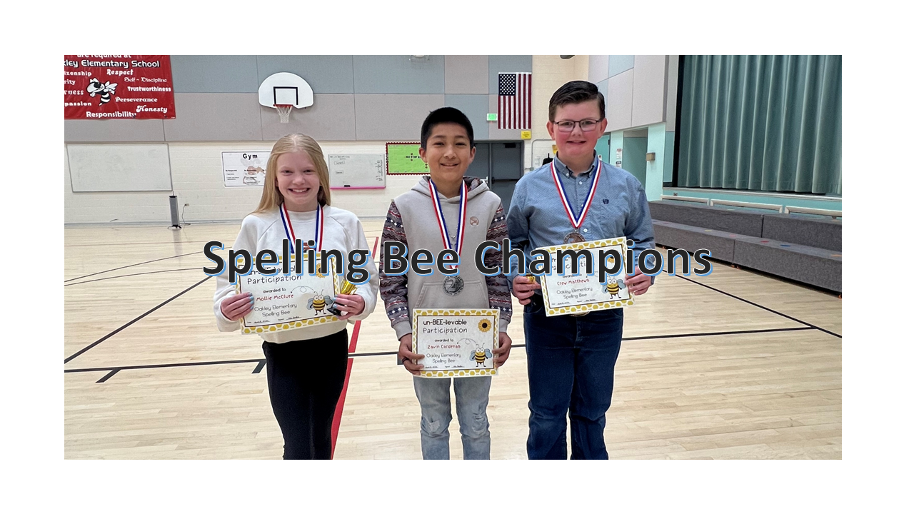 Spelling Bee Champions