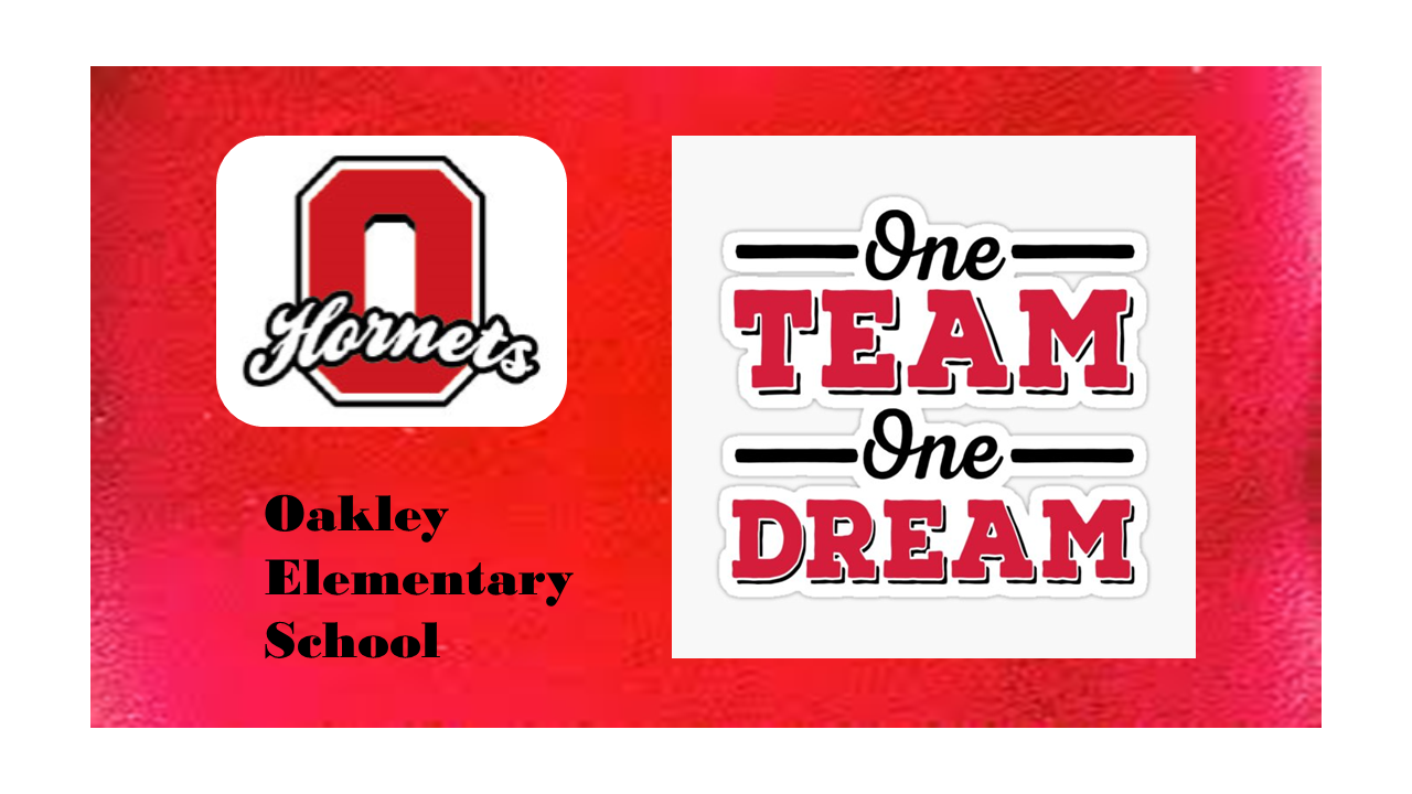 OES, One Team One Dream