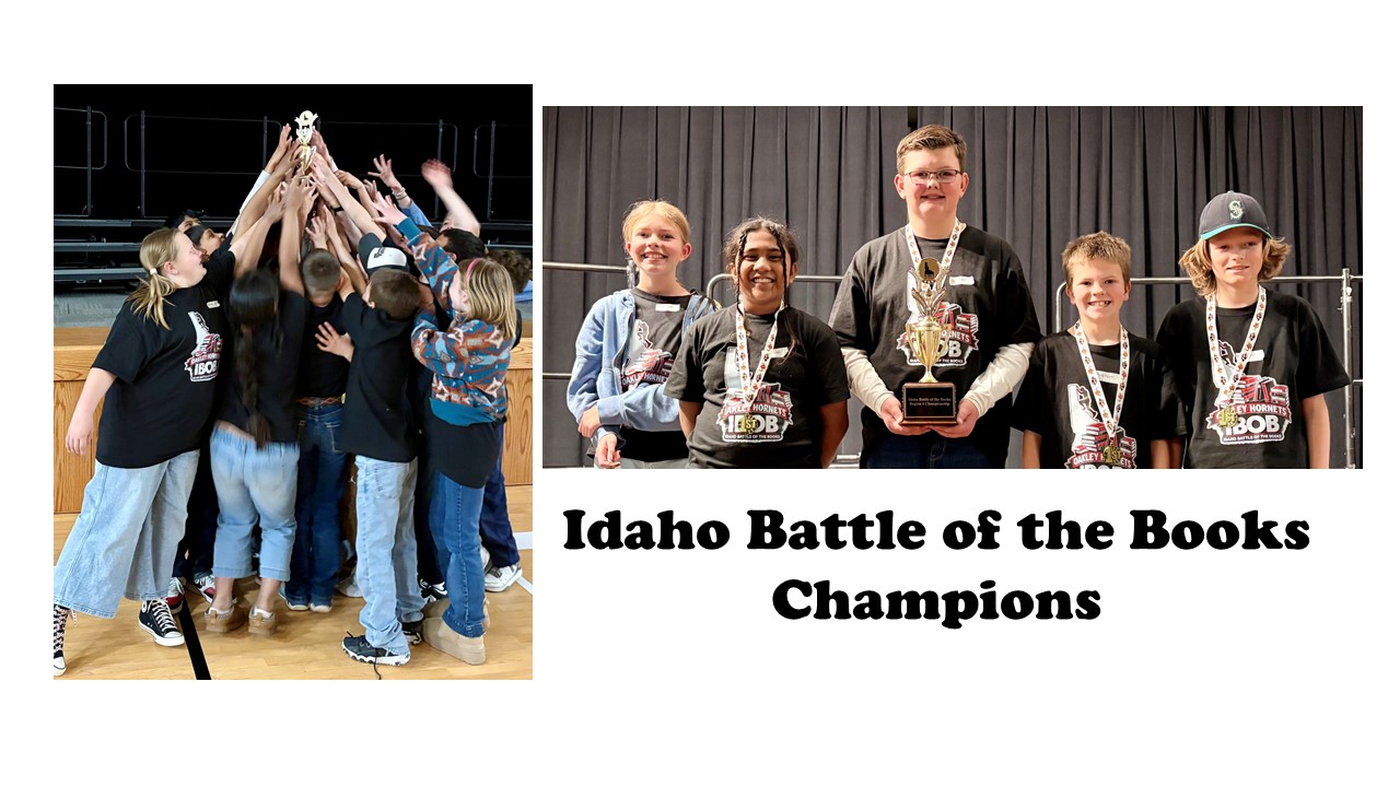 IBOB Champions