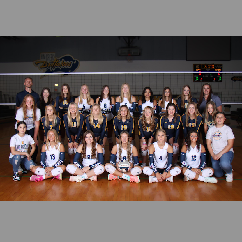 Volleyball