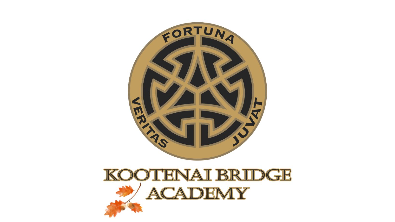 kba logo