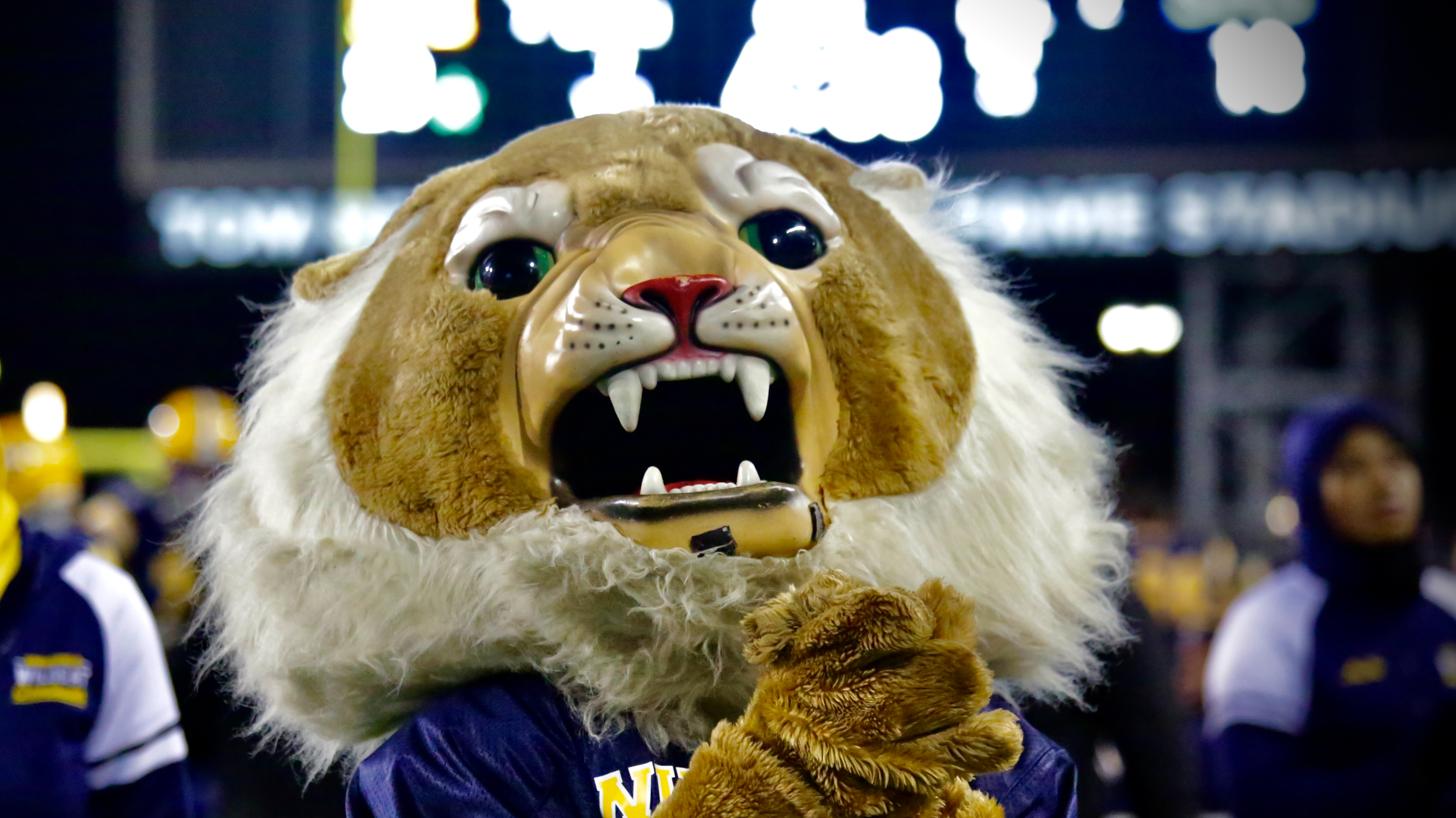 Willie the Wildcat looks on at the state championship game