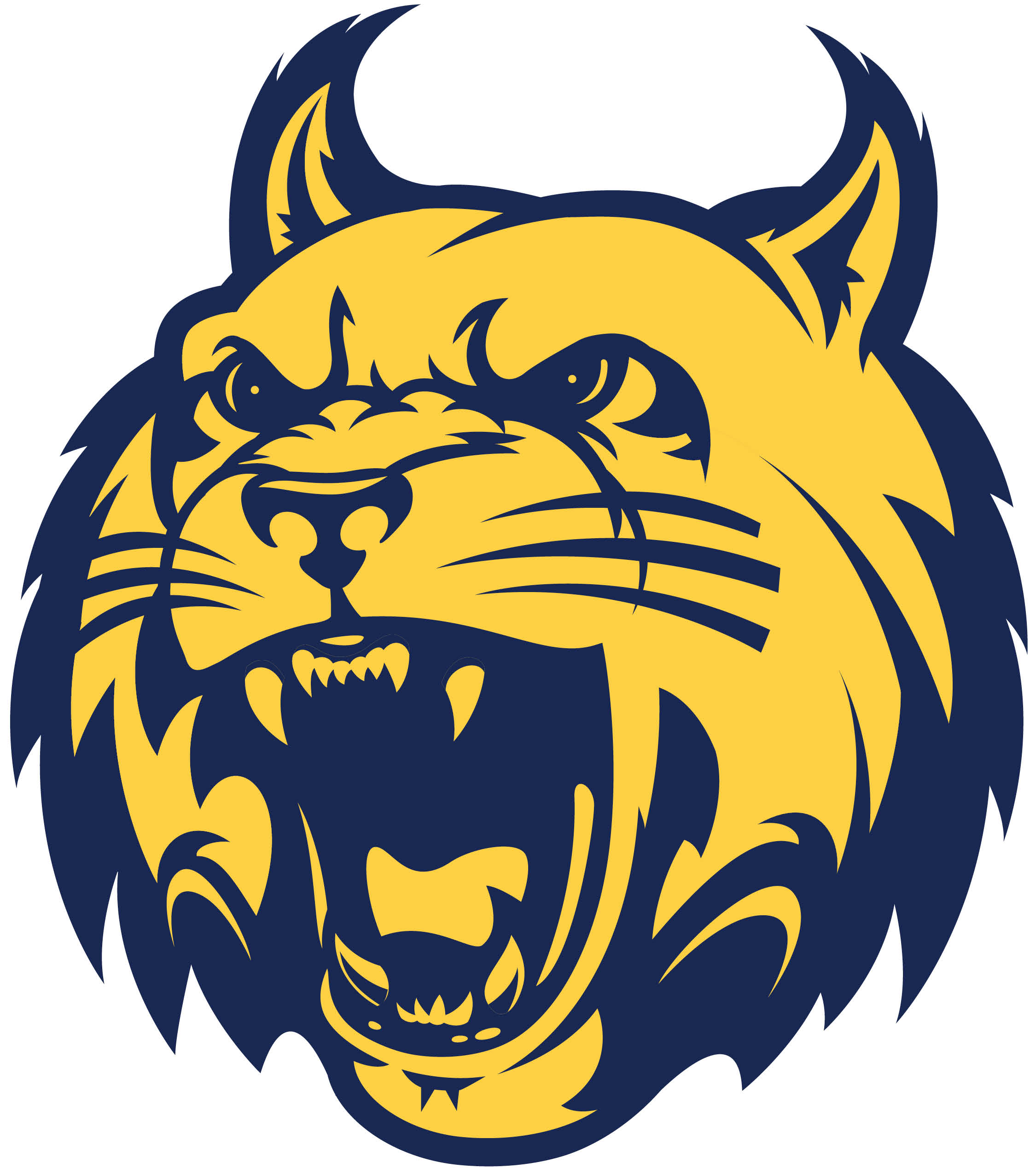 Wildcat Head Logo
