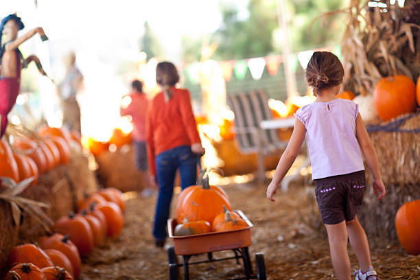 Fall Festival