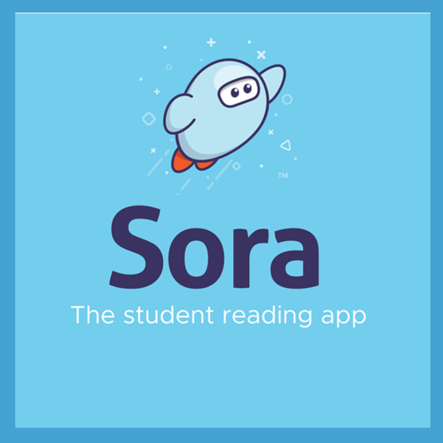 Sora App  