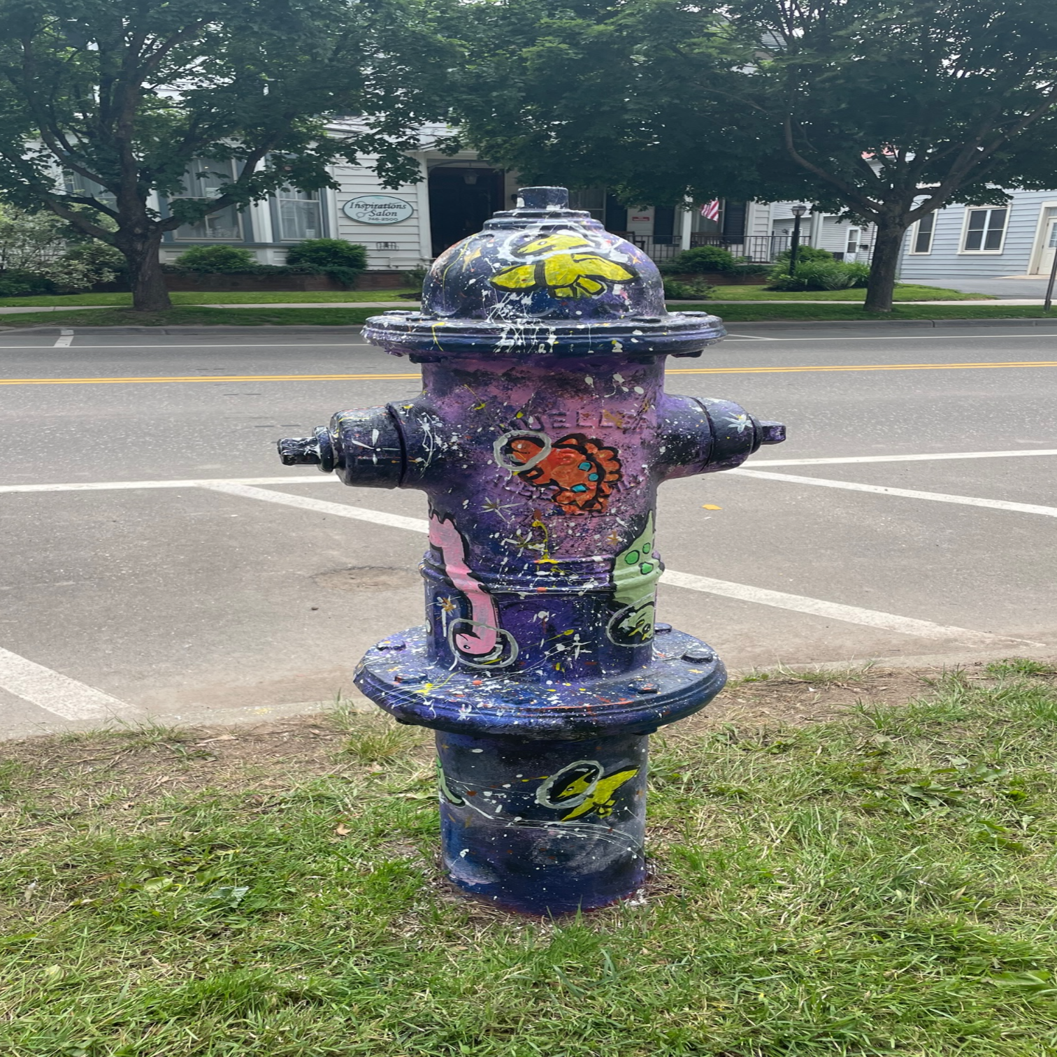 Cadence Bartown Artwork on Fire Hydrant