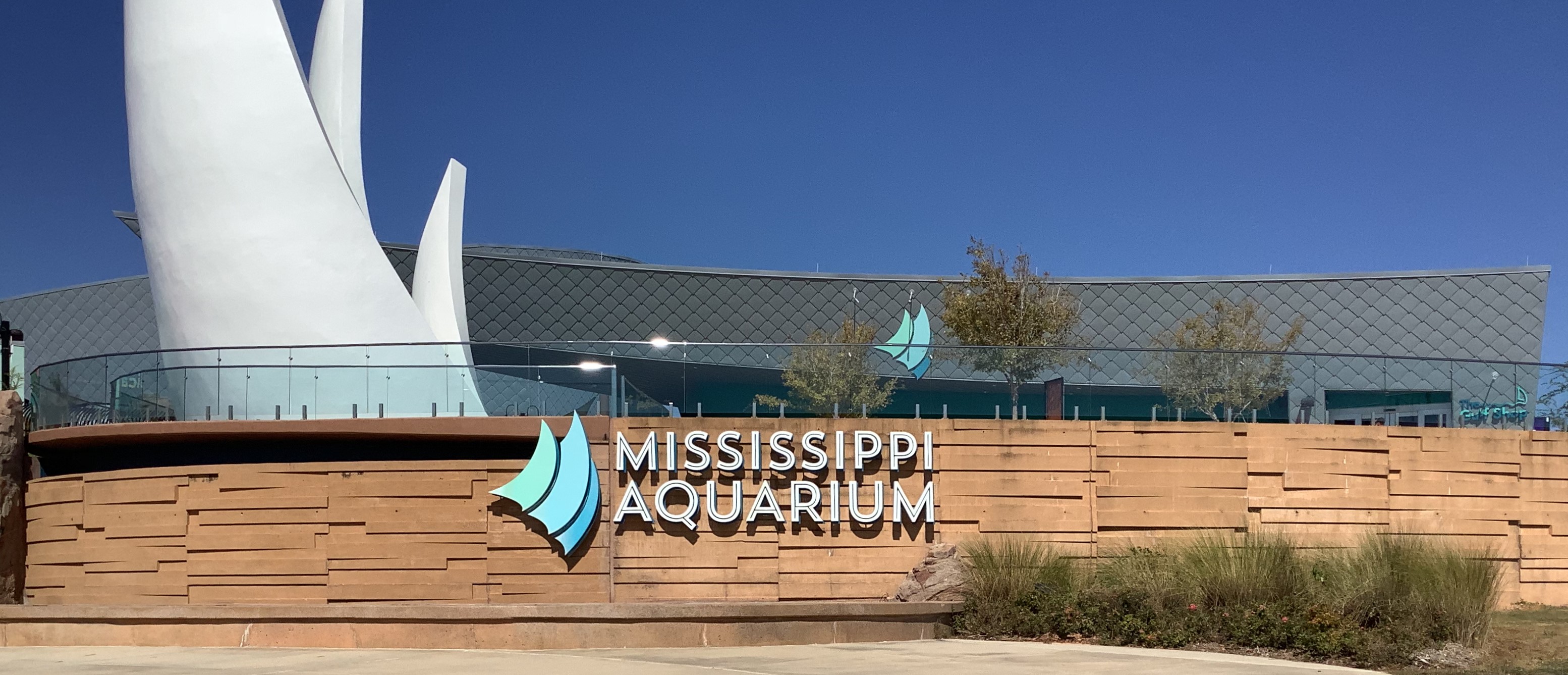 gifted trip to museum
