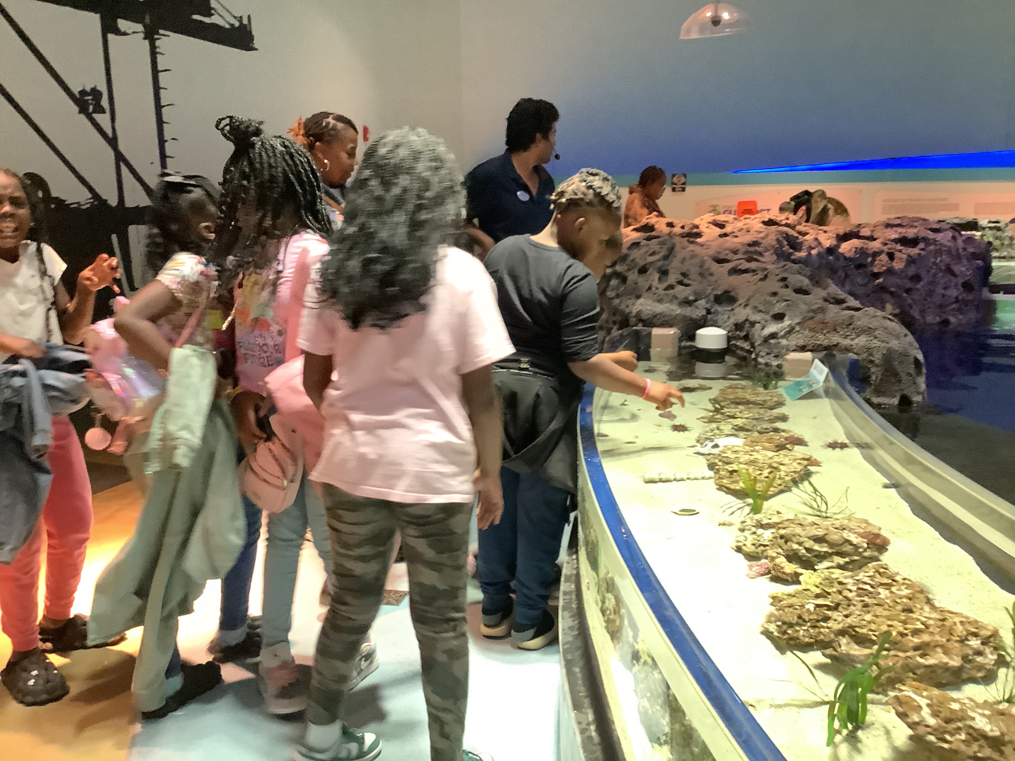 gifted trip to museum