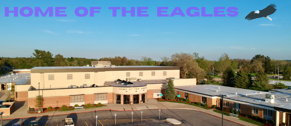 aerial view of farwell schools: home of the eagles - eagle picture